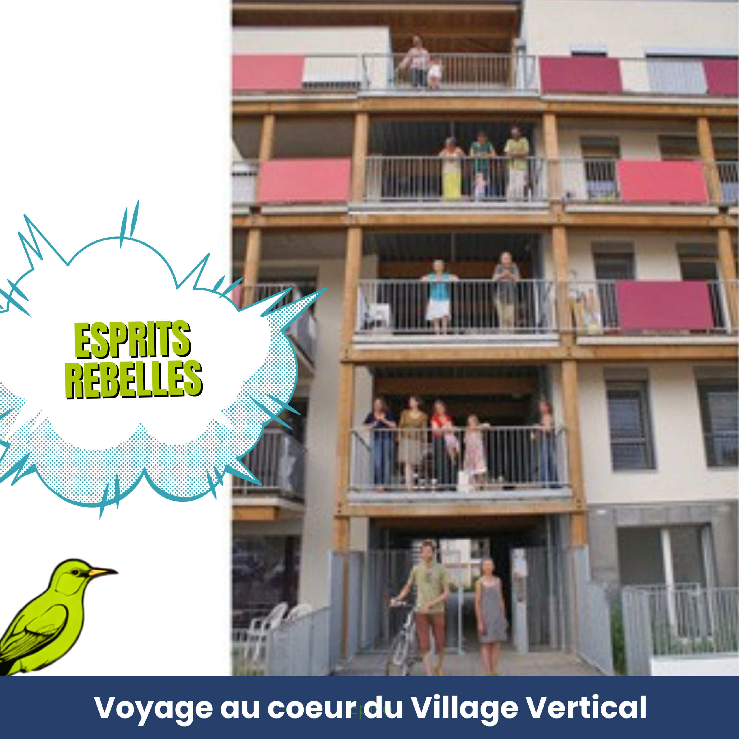 Description de l'image
