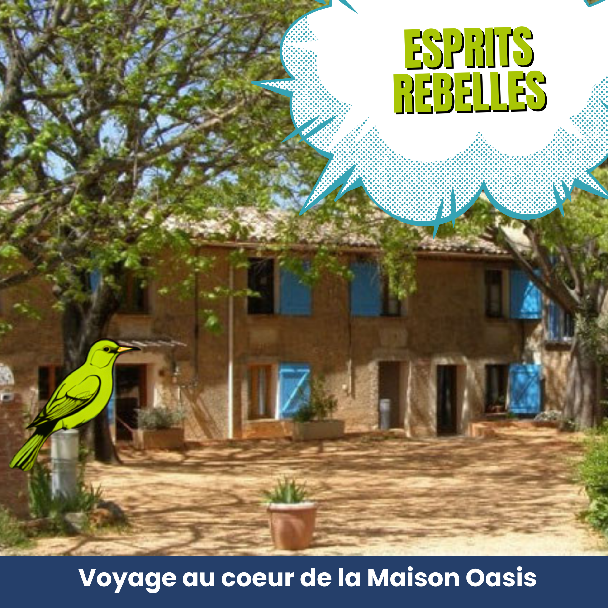 Description de l'image