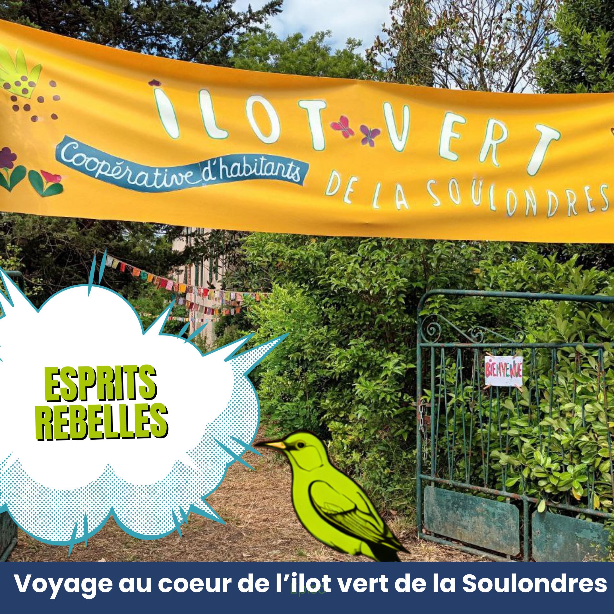 Description de l'image
