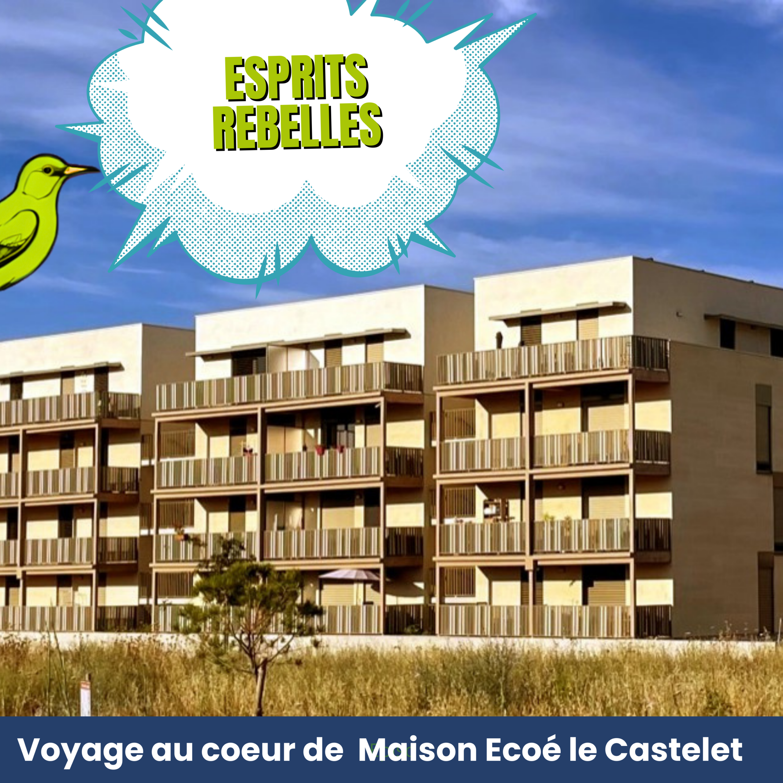 Description de l'image