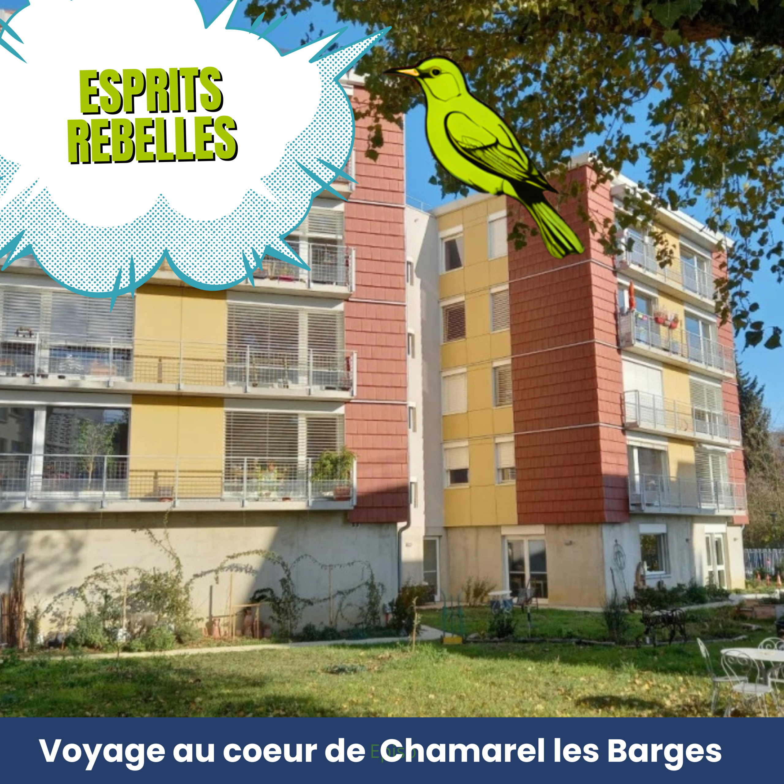 Description de l'image