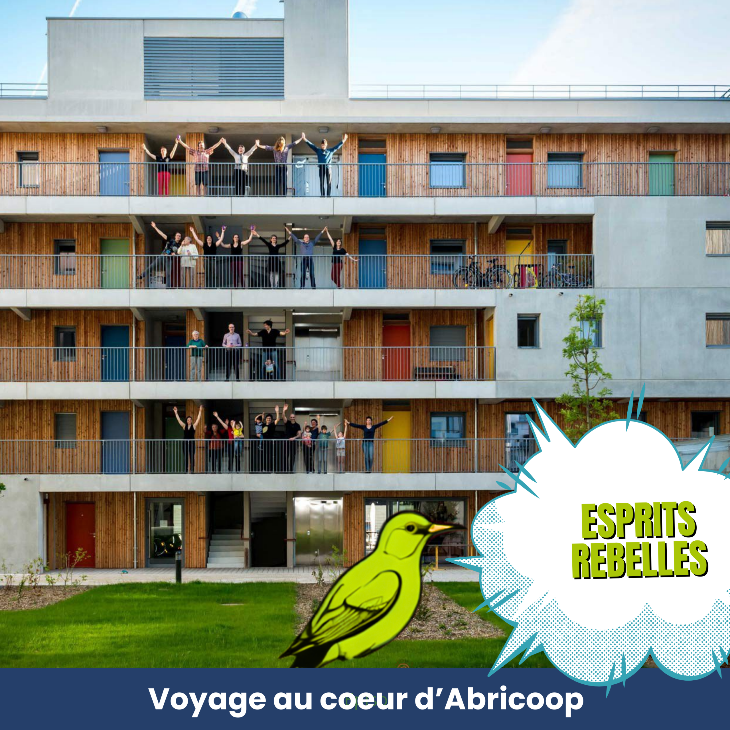 Description de l'image