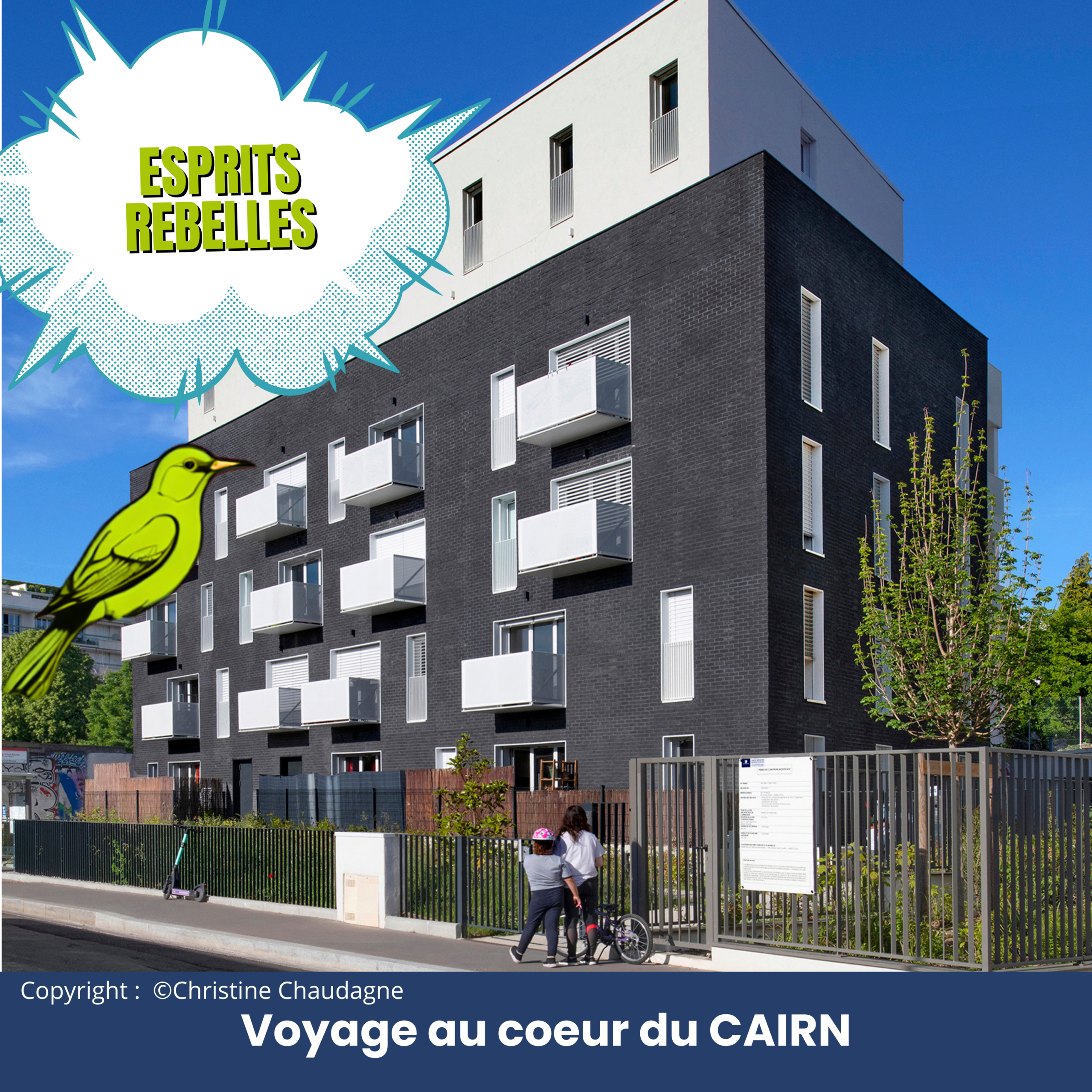 Description de l'image